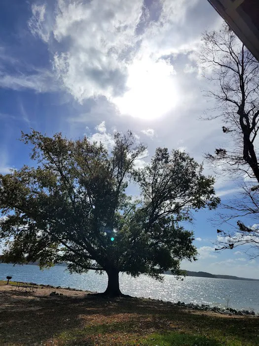 Henderson Point Campground Picture 10