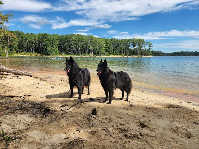 Kimball Point Campground Picture 5