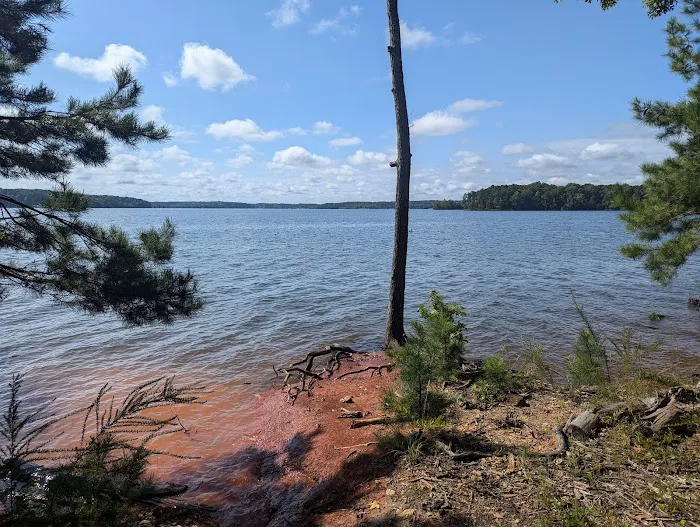 BSA Camp Eagle Point Picture 4