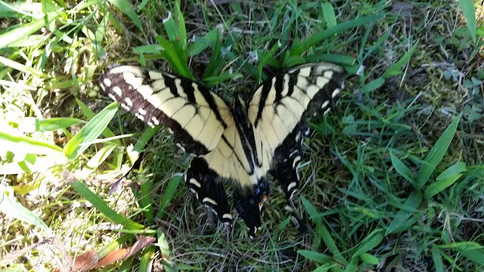 US Ranger Station Picture 1