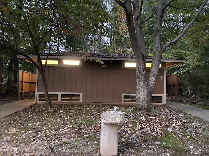 Rudds Creek Campground Picture 6