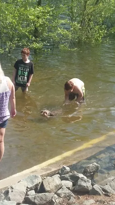 Rudds Creek Campground Picture 7