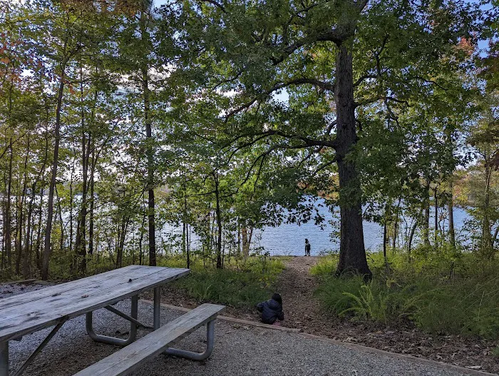 Rudds Creek Campground Picture 8