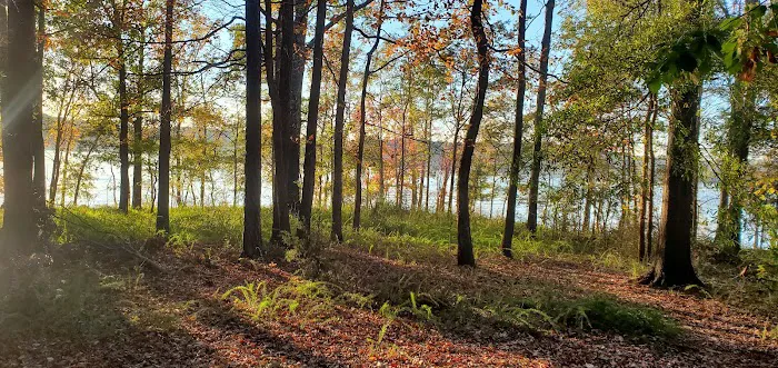 Rudds Creek Campground Picture 9