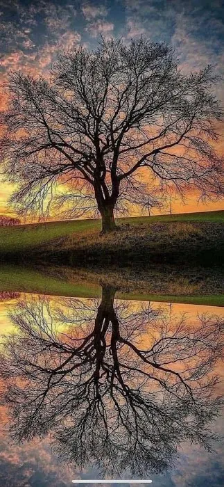 RunningRiverRanch Picture 2