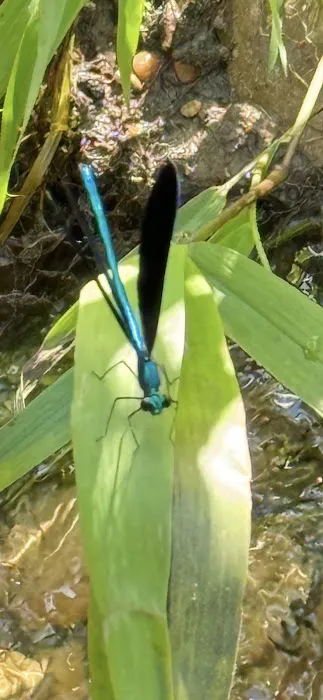 RunningRiverRanch Picture 1