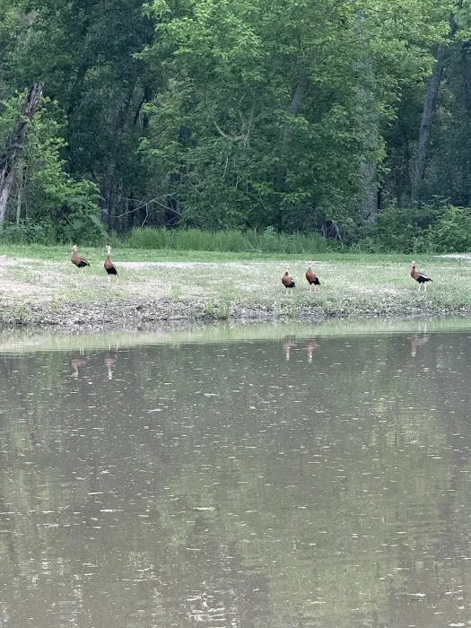 RunningRiverRanch Picture 7