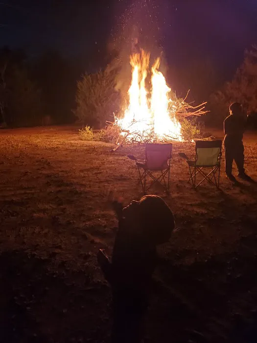 LoMo's Camping Retreat Picture 2