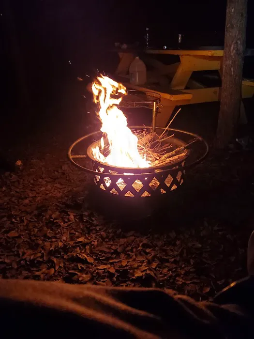 LoMo's Camping Retreat Picture 3