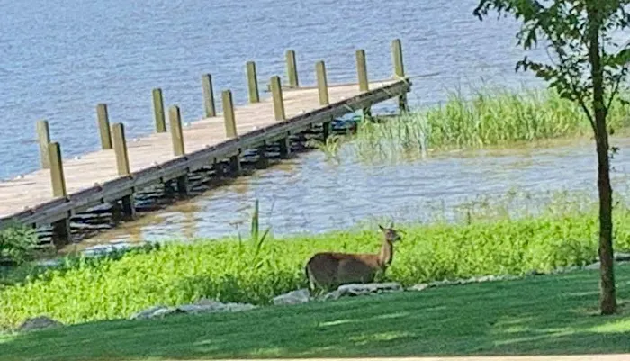 Rainbow Ranch Campground Picture 2