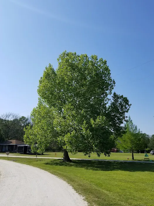 Running Branch Marina & Campground Picture 5