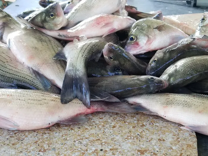 Running Branch Marina & Campground Picture 8