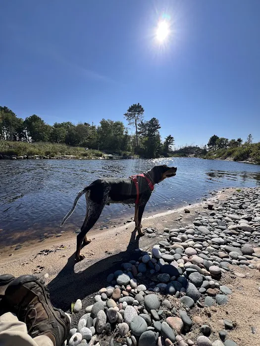 Two hearted river Picture 3