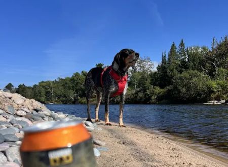 Two hearted river