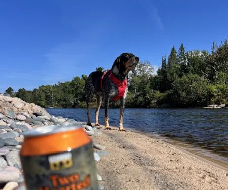 Two hearted river