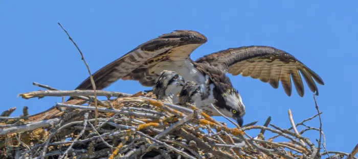 Colusa Landing RV Park Picture 2