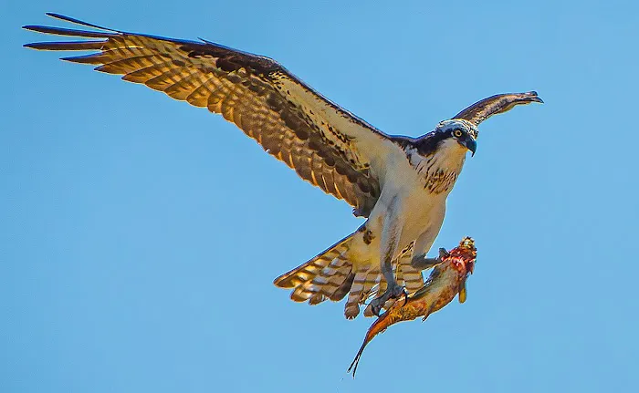 Colusa Landing RV Park Picture 1