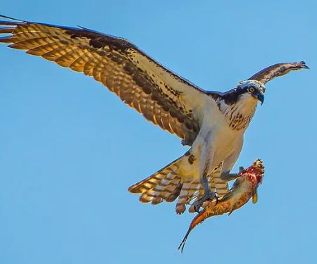 Colusa Landing RV Park