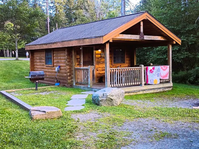 Pickerel Point Campground Picture 3