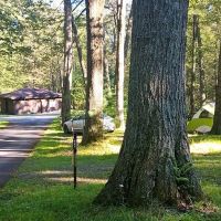 Pines Campground ico