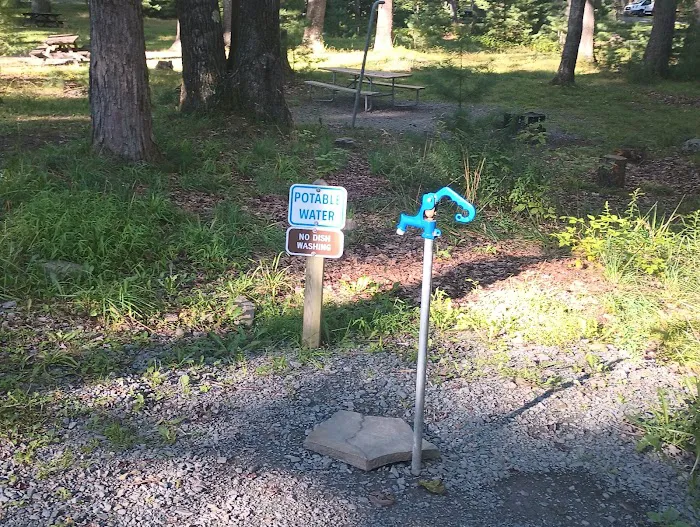 Pines Campground Picture 2