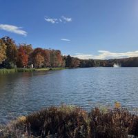 Lake Adventure Community Association ico