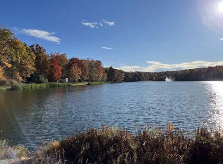 Lake Adventure Community Association