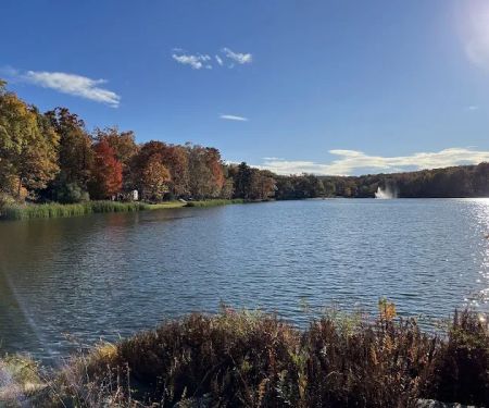 Lake Adventure Community Association