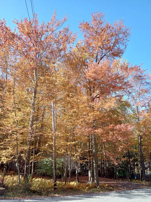 Lake Adventure Community Association Picture 7