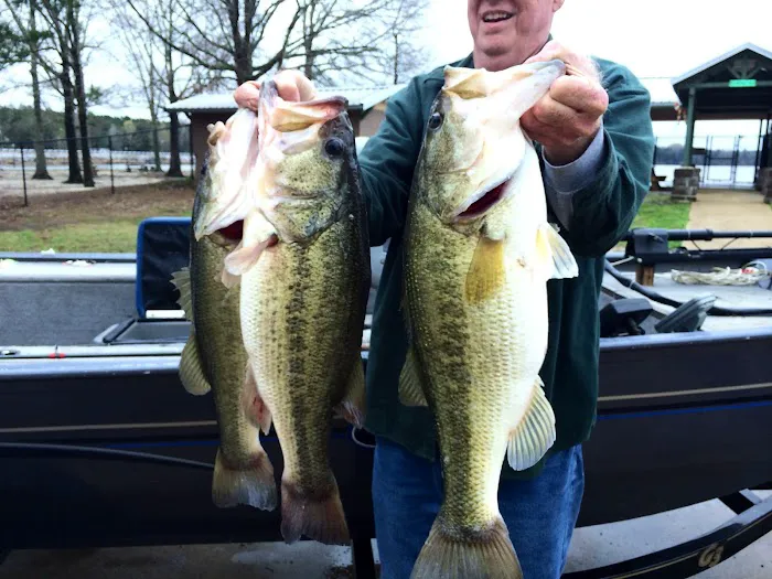 Starkville KOA Holiday Picture 3