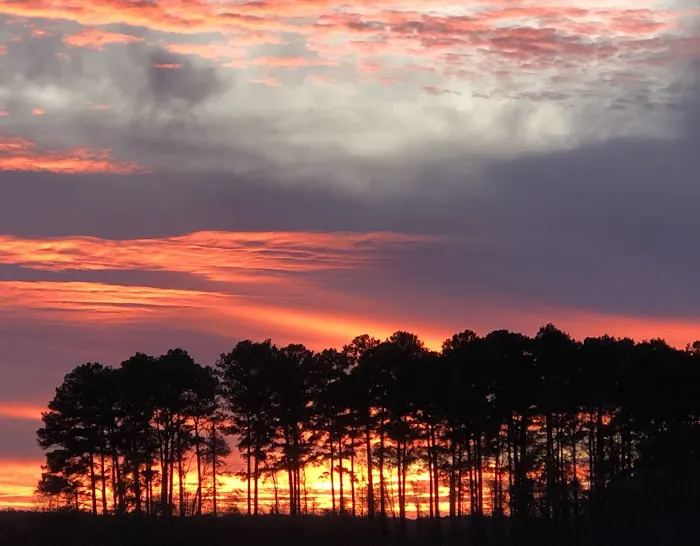 Starkville KOA Holiday Picture 7