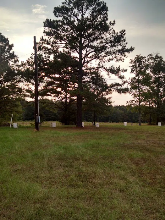 No Curfew Campground Picture 2