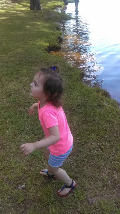 Whites Creek Lake Campground Picture 2