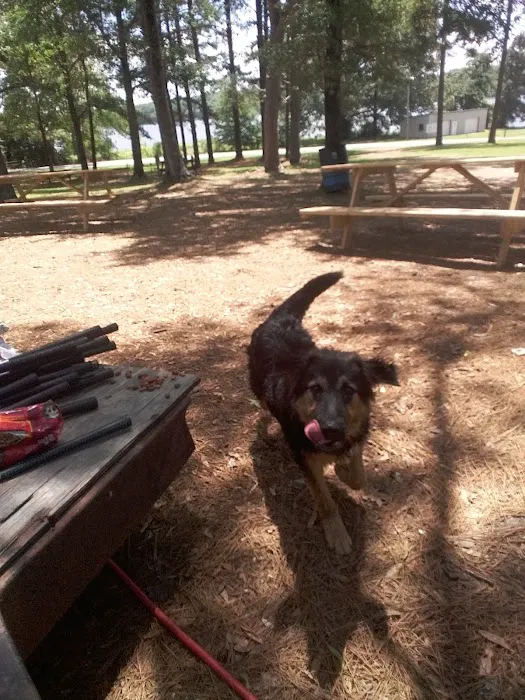 Whites Creek Lake Campground Picture 4