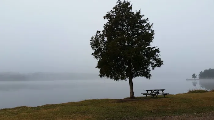 Whites Creek Lake Campground Picture 3