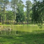 US Choctaw Lake Campground