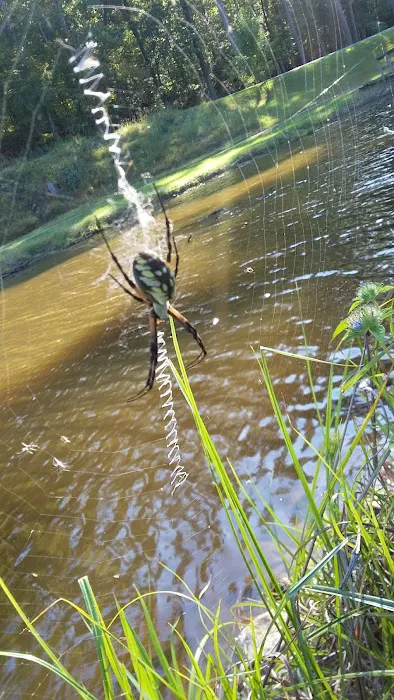 US Choctaw Lake Campground Picture 4