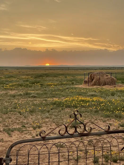 Chaos Ranch Picture 2