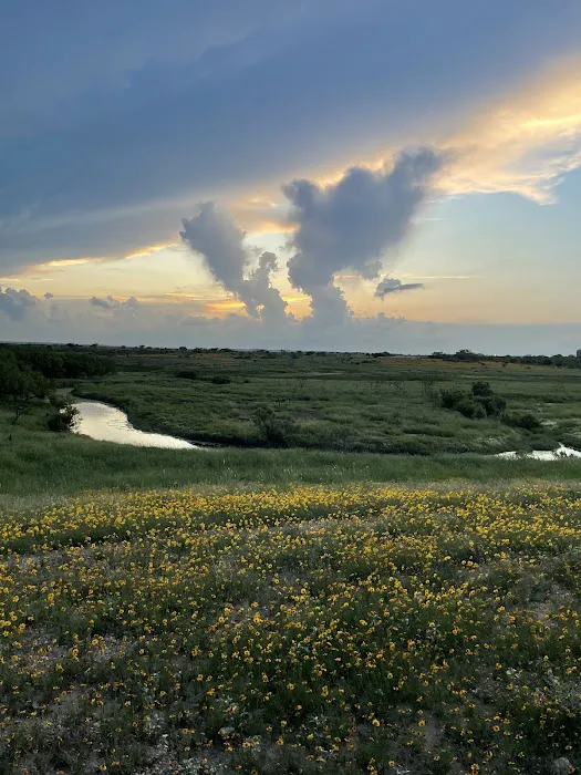 Chaos Ranch Picture 4