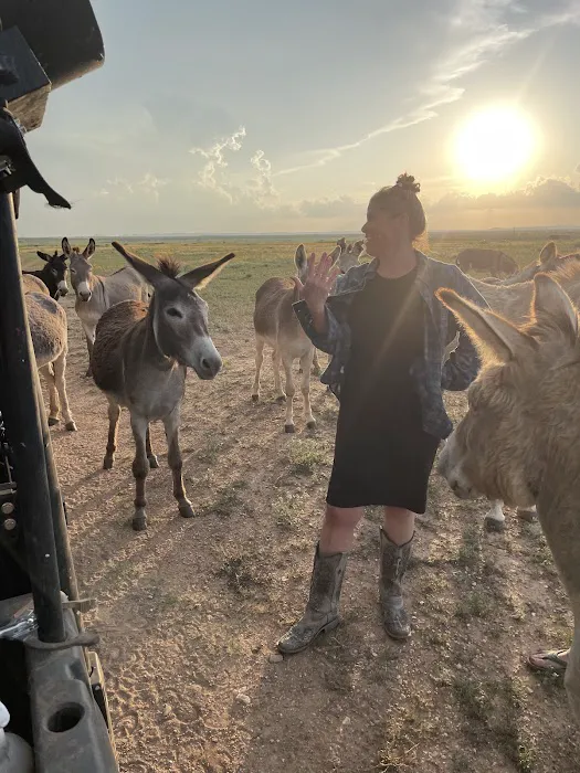 Chaos Ranch Picture 3