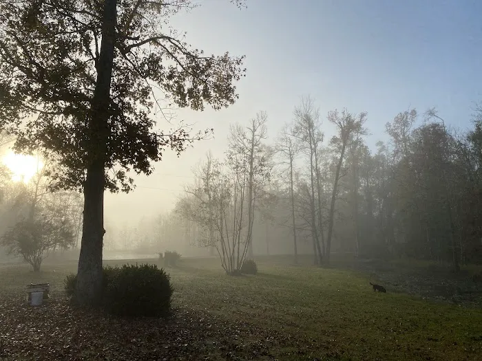 Snow White Sanctuary - Campground Picture 3