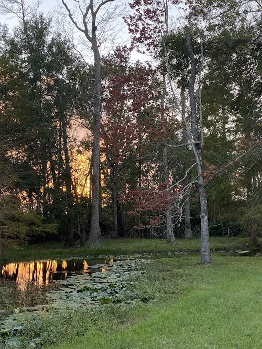 Snow White Sanctuary - Campground Picture 10