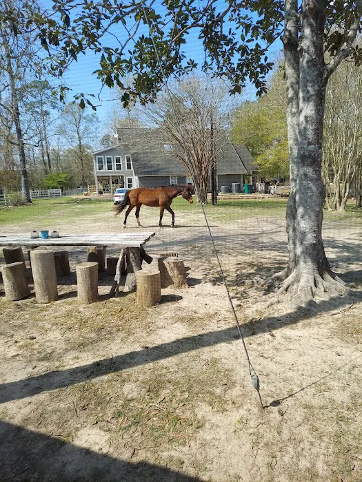 Snow White Sanctuary - Campground Picture 5