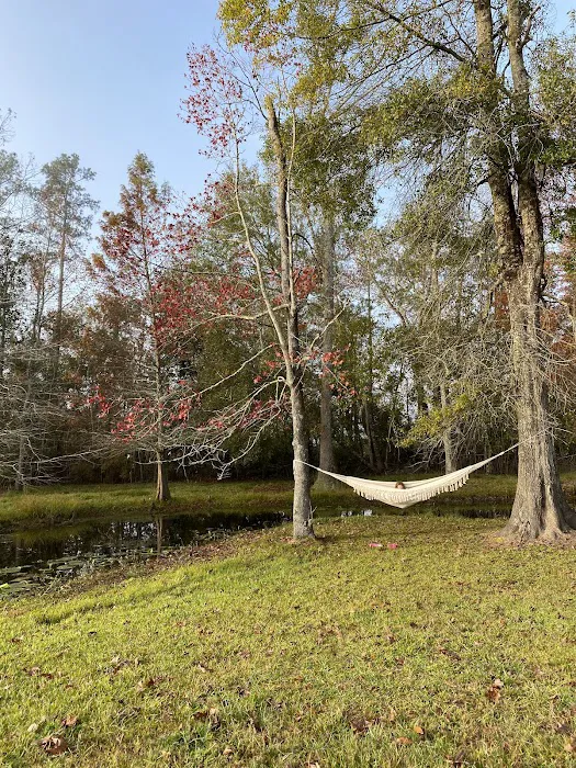 Snow White Sanctuary - Campground Picture 7