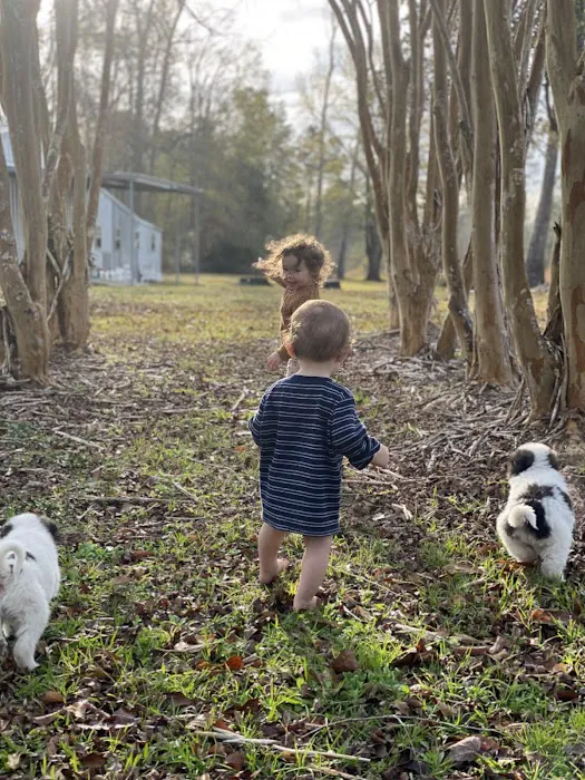 Snow White Sanctuary - Campground Picture 9