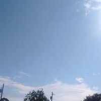 Central Mobile Village ico