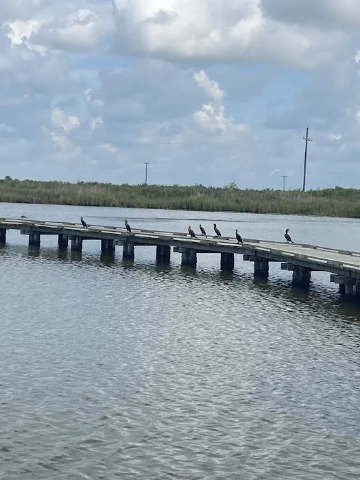 Piping Plover Campground Picture 9