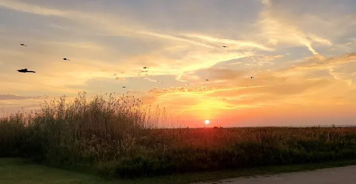 Piping Plover Campground Picture 10
