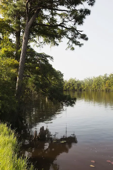 Bayou Glamping Co Picture 7