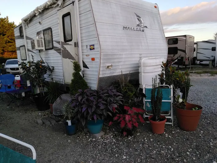 Kershaw's Cajun Village Picture 7